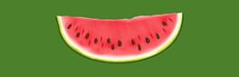 Melon artwork 1