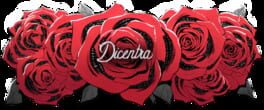 Dicentra artwork 1