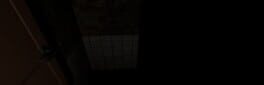 The Last Job artwork 1
