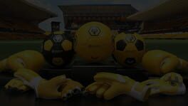 Rezzil Player: Wolves Team Pack artwork 1