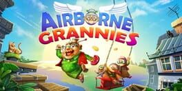 Airborne Grannies artwork 1