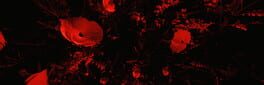 Island of Sacrifice artwork 1