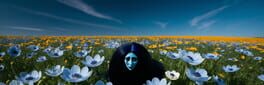 Anemone artwork 1