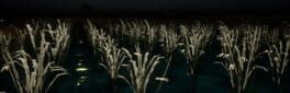The Paddy Field artwork 1