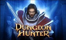 Dungeon Hunter artwork 1