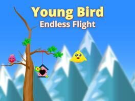 Young Bird Endless Flight artwork 1