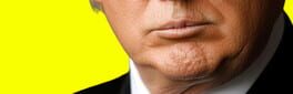 Trump Simulator 2025 artwork 1