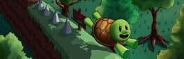 TurtleRun artwork 1