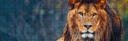Big Cat Jigsaw Quest artwork 1