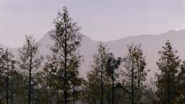 Deer Hunting Camp artwork 2