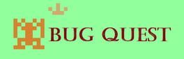 Bug Quest artwork 1