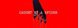 Caught by a Spider artwork 1
