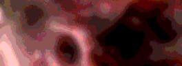Reclusion artwork 1