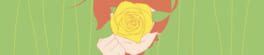 Yellow Rose artwork 1