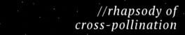 Tender Frame Cocoon: //Rhapsody of Cross-Pollination artwork 1