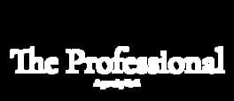 The Professional artwork 1