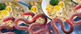 Magic Planet Snack artwork 1
