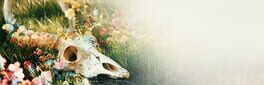 The Fading of Nicole Wilson artwork 1
