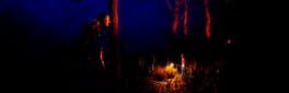 The Untold Legends: Baba Yaga artwork 1