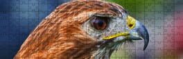 Whispers of Wings Jigsaw Puzzles artwork 1