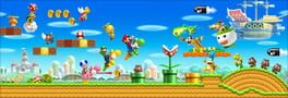 New Super Mario Bros. Wii artwork 12