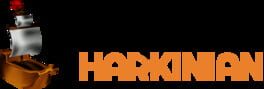 Ship of Harkinian artwork 2