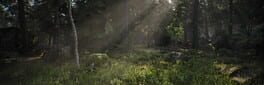Mushroom Hunter Simulator artwork 1