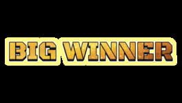 Big Winner artwork 2