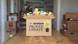A Little to the Left: Packed artwork 1