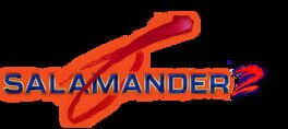 Salamander 2 artwork 1