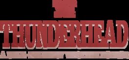 Thunderhead artwork 1