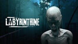 Labyrinthine artwork 2