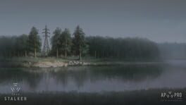 True Stalker artwork 2