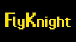 FlyKnight artwork 3