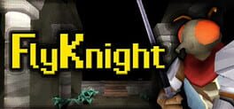 FlyKnight artwork 2