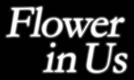 Flower in Us artwork 3