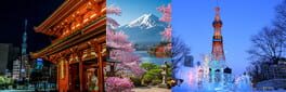 Trip Japan Puzzle artwork 1