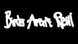 Birds Aren't Real artwork 2