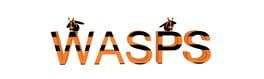 Wasps artwork 1