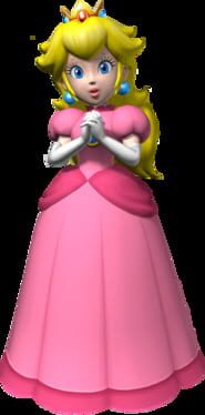 Super Mario 64 DS artwork 5