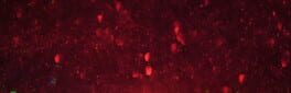 Dracula: Crimson Apostle artwork 1