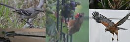 Jon's Jigsaw Puzzle artwork 1