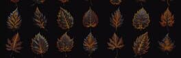 How Much Items: Plants artwork 1