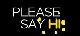 Please Say Hi artwork 2