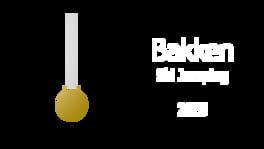 Bakken: Ski Jumping 2025 artwork 1