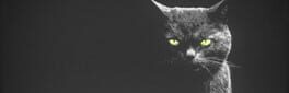 Purrrification artwork 1