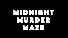 Midnight Murder Maze artwork 2