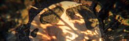 Mycelium Mayhem artwork 1