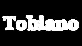Tobiano artwork 2