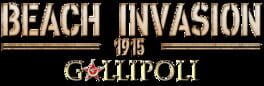 Beach Invasion 1915: Gallipoli artwork 1
